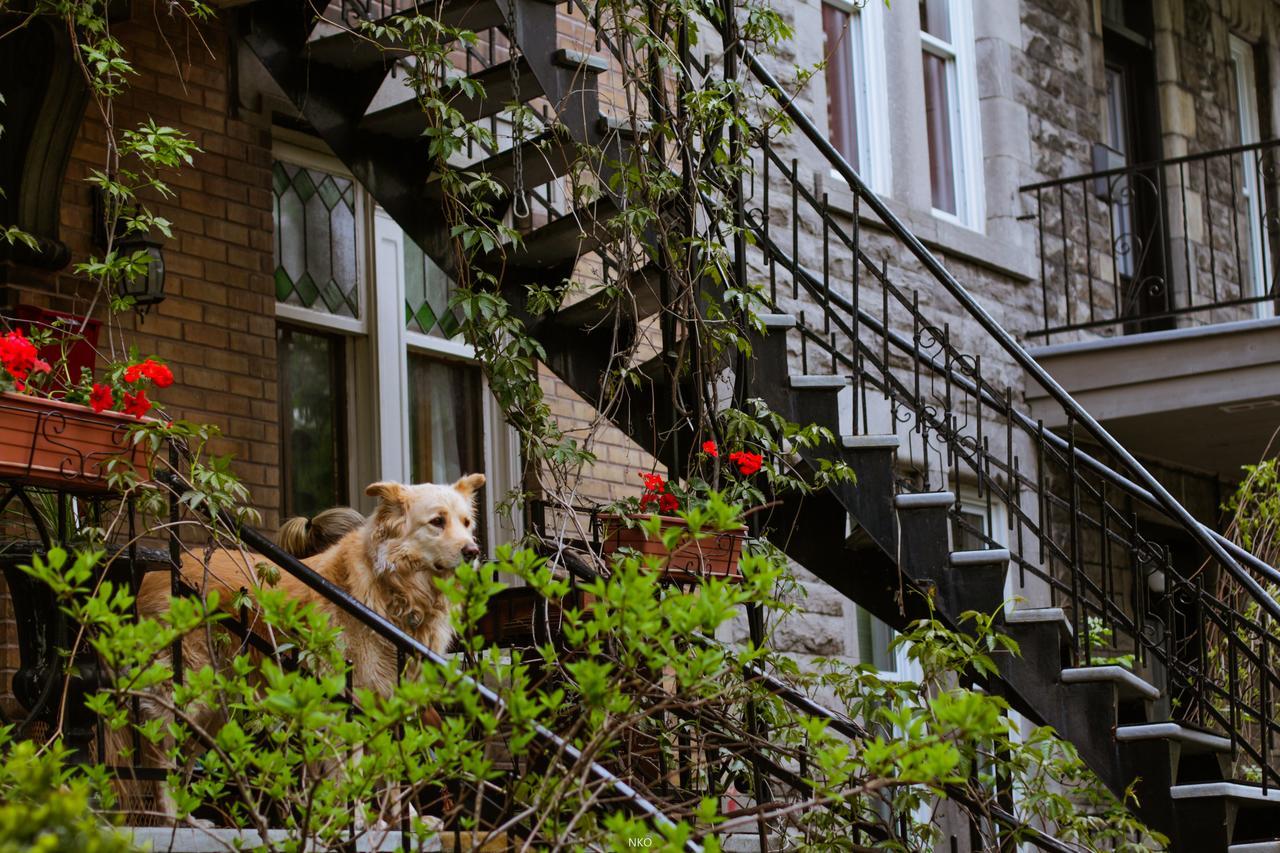 Albergue Pied-A-Terre Mont-Royal Montreal Exterior foto